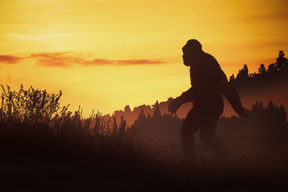 Drunk Big Foot Rampaging Inside Pharmacy.