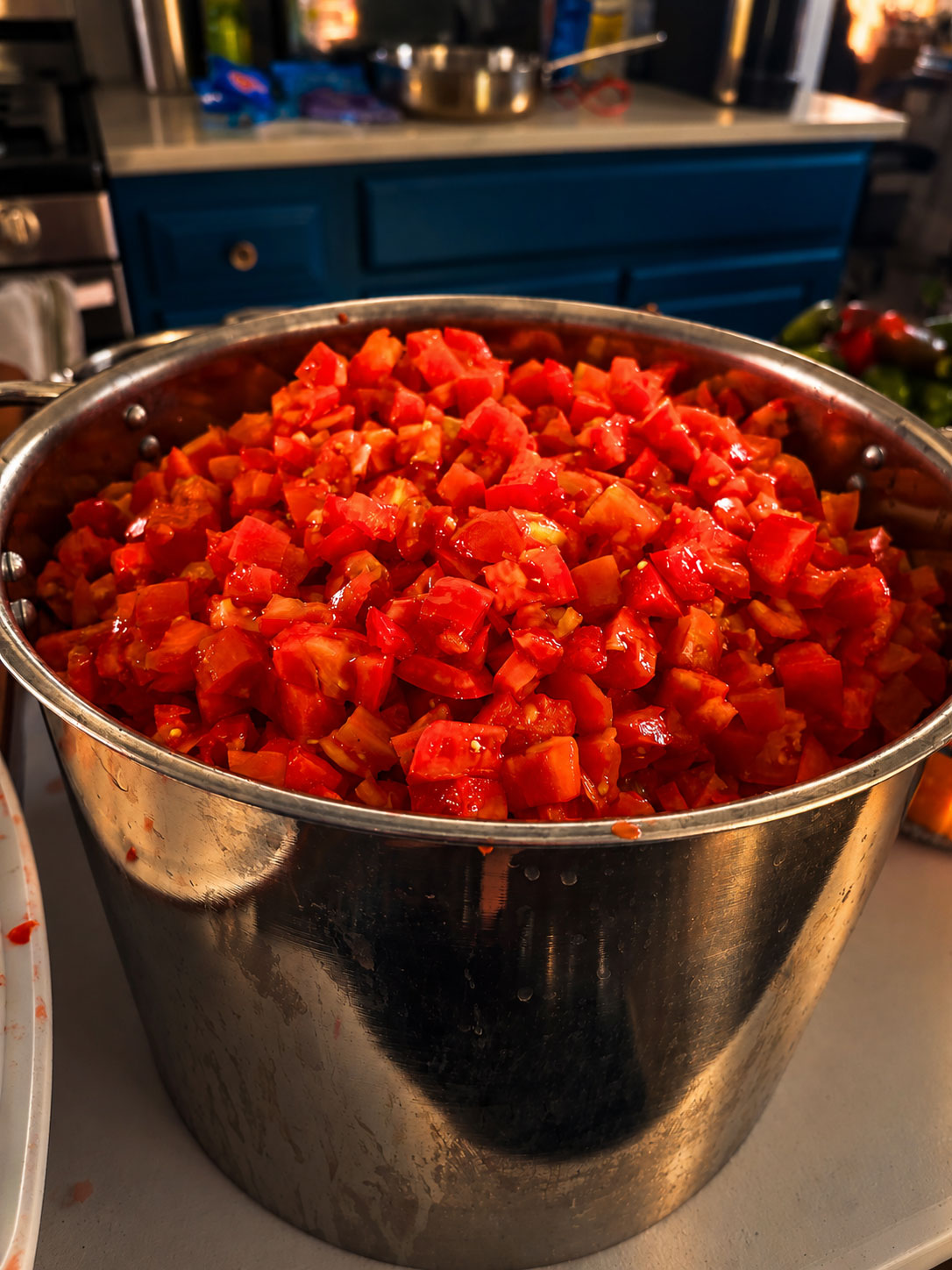 polish prophet salsa 2